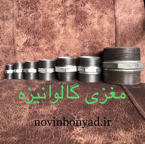 مغزی