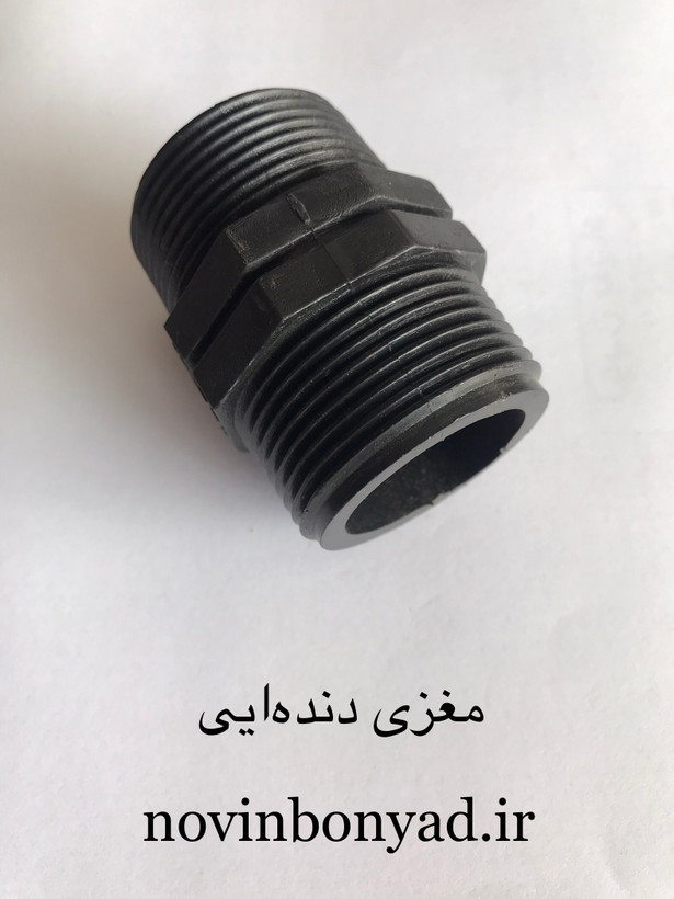 مغزی دنده ایی